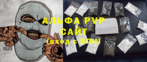 стафф Алзамай