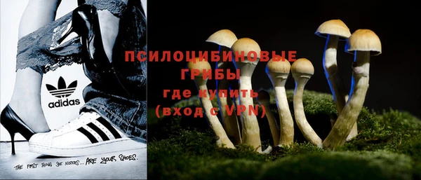 стафф Алзамай