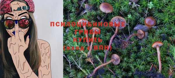 спиды Алексеевка