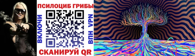 Псилоцибиновые грибы Psilocybine cubensis  магазин продажи   Невьянск 