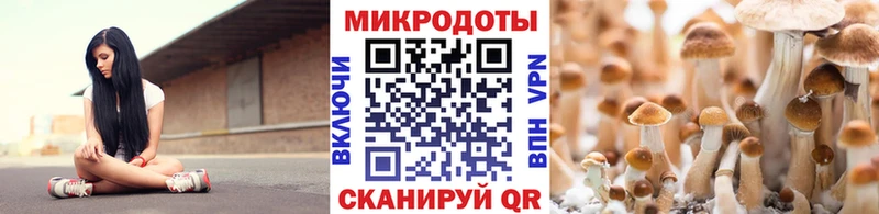 Псилоцибиновые грибы мухоморы Невьянск